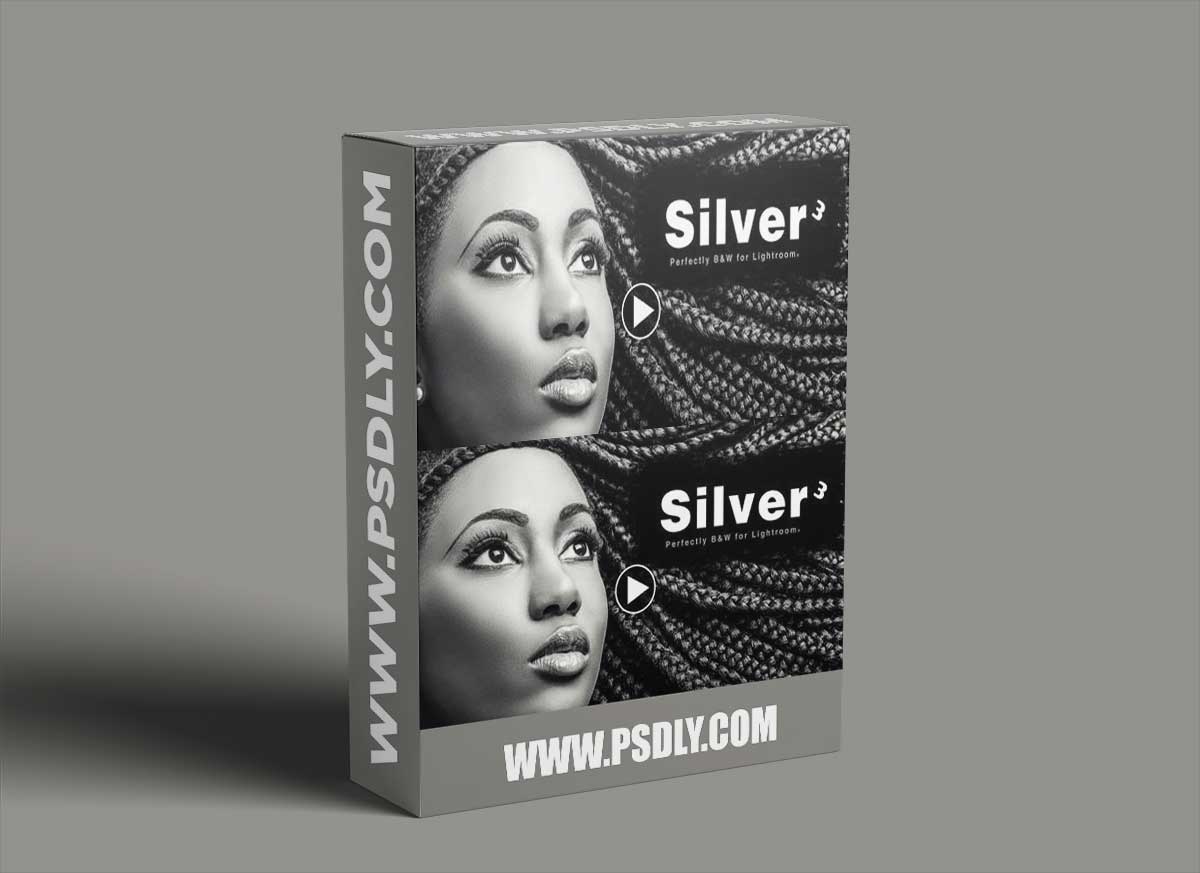 Seim Silvereffects 3 for Adobe Photoshop