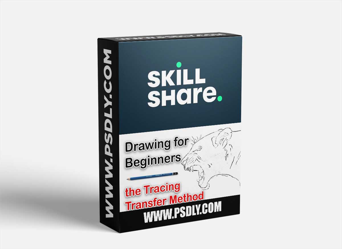 Transfer your reference photo for drawing & painting - The Tracing Method