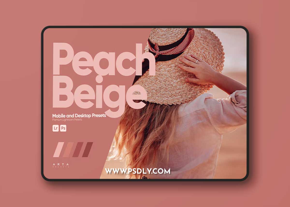 ARTA - Peach Beige Presets for Lightroom PVLT82P