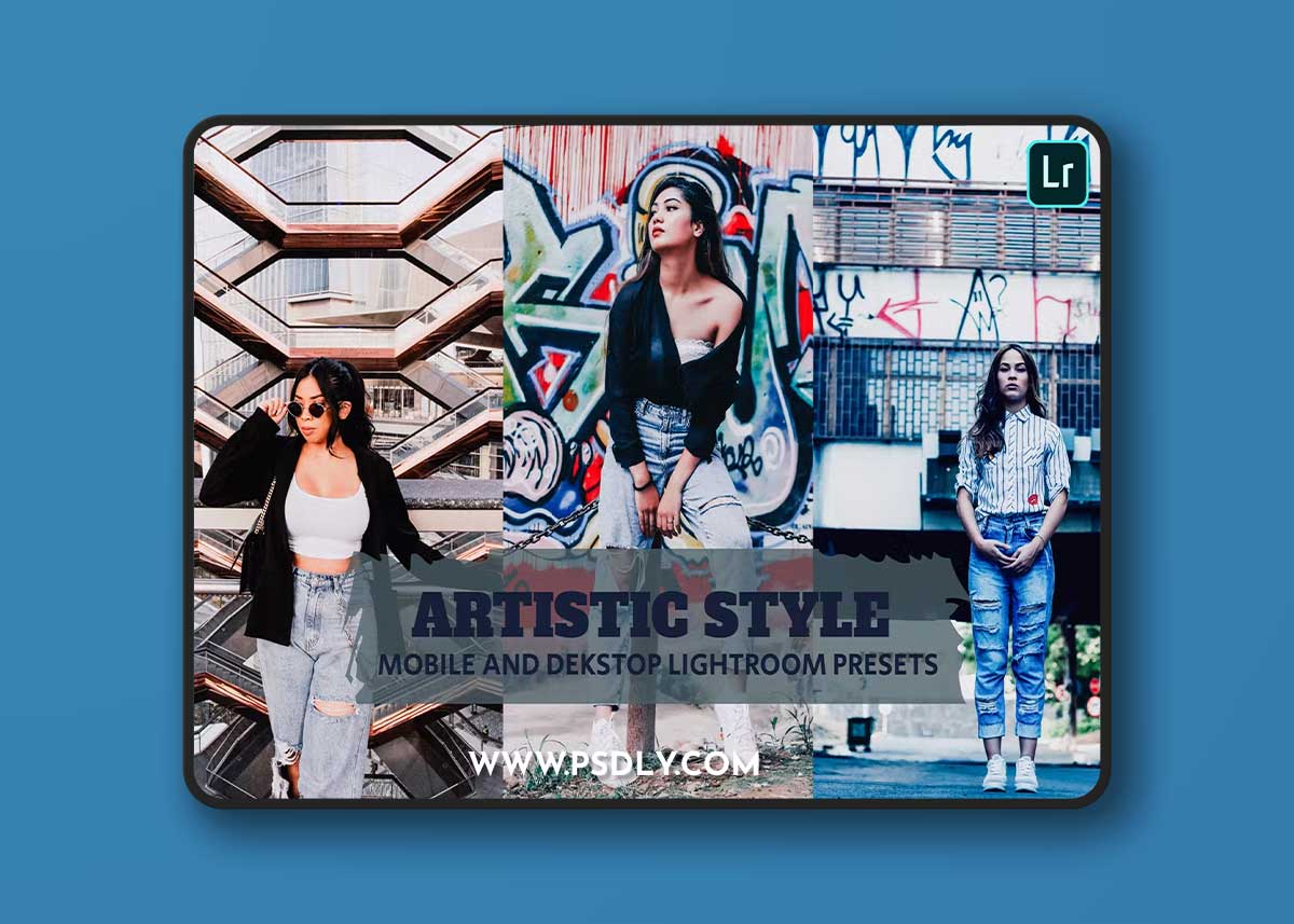 Artistic Style Lightroom Presets Dekstop Mobile