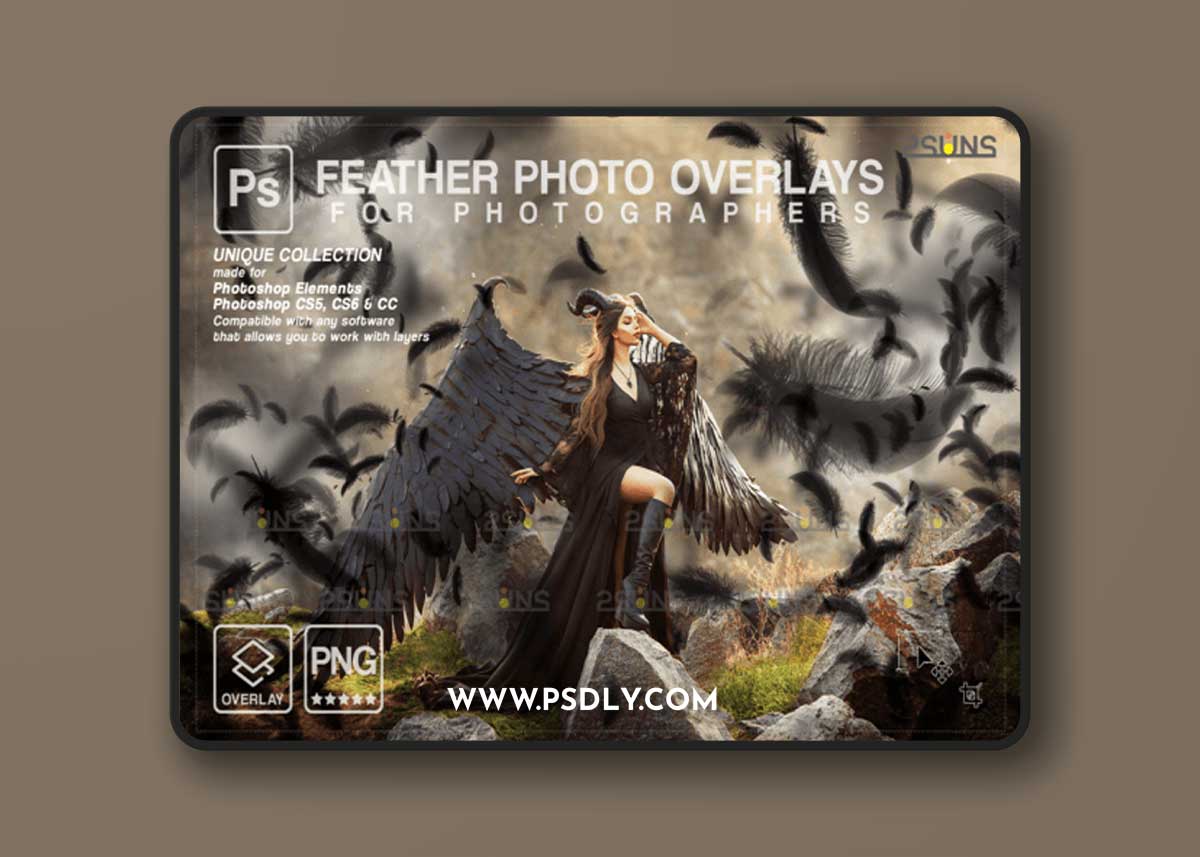 Black Feather Photoshop Overlay PNG
