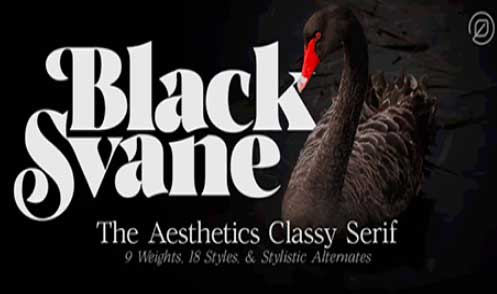 Black Svane Font Family