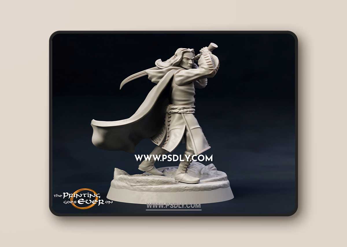 Elven Hero Golloccel 3D Print Model