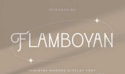 Flamboyan - Feminine Modern Display Font