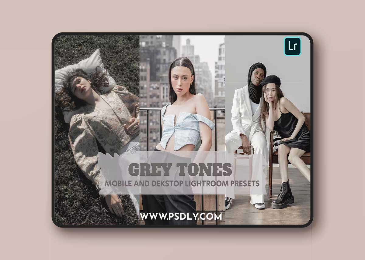 Grey Tones Lightroom Presets Dekstop and Mobile