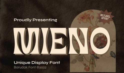 Mieno - Serif Display Font