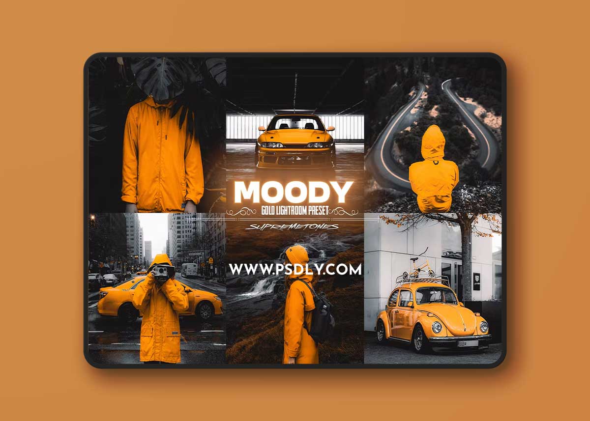 Moody Gold Lightroom Preset