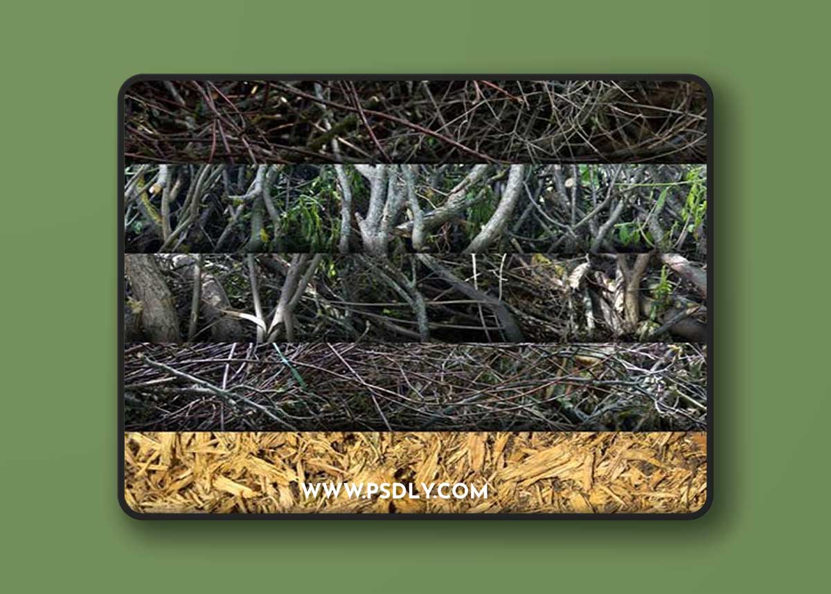 Nature Patterns - 20+ Awesome Wood & Tree Textures