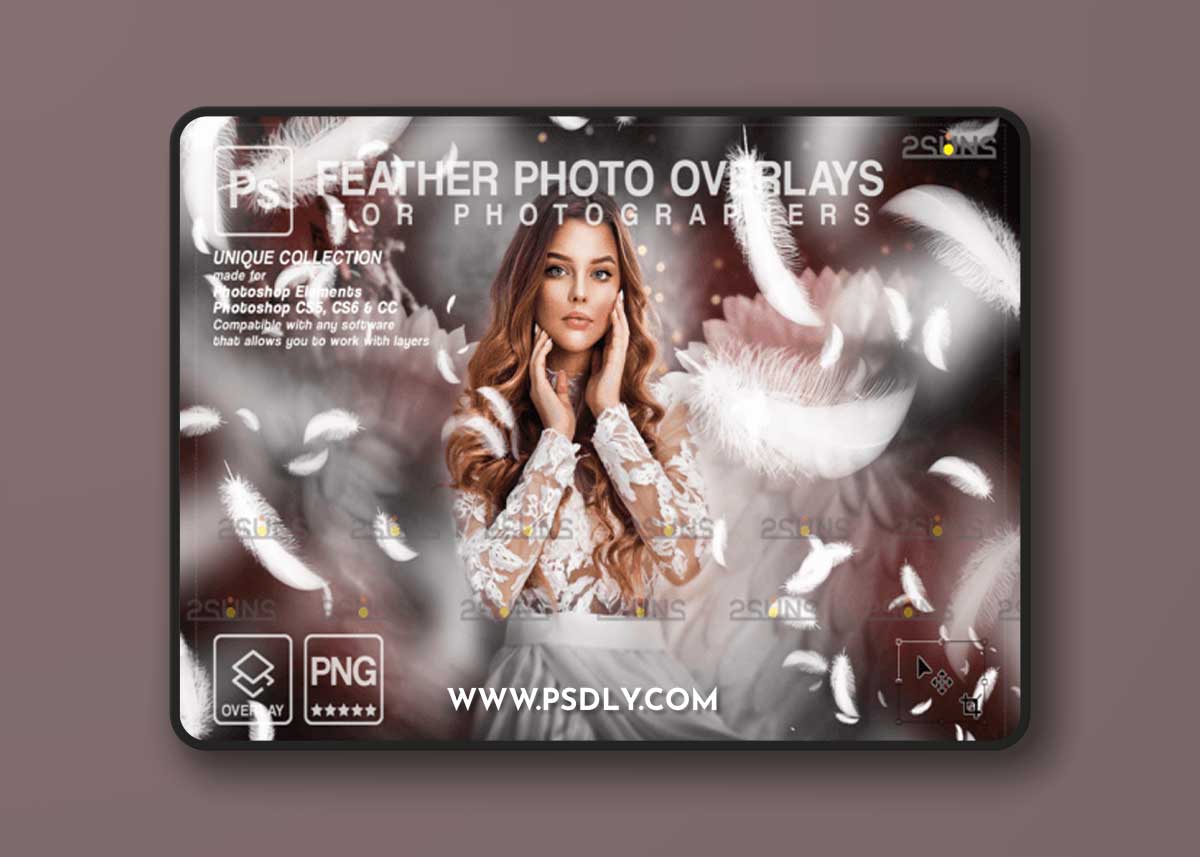 White Feather Photo Overlays PNG
