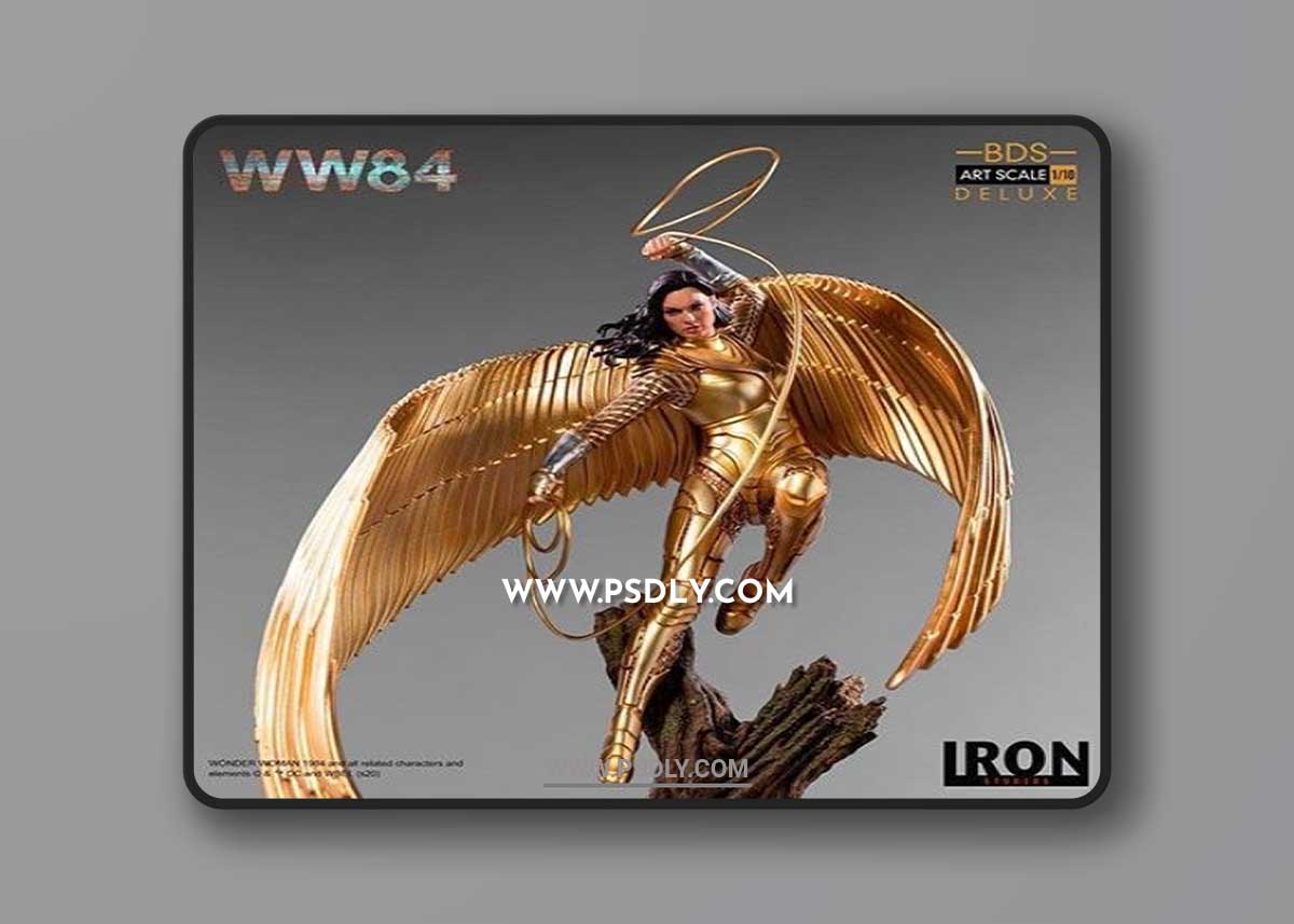 Wonder Woman 1984 - DC Comics 3D Print Model