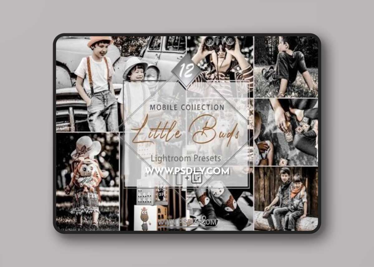 12 Mobile Lightroom Presets, Little Buds