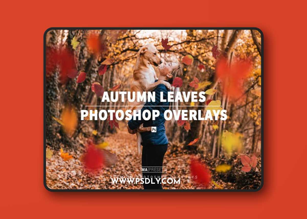 70 AUTUMN LEAVES OVERLAYS