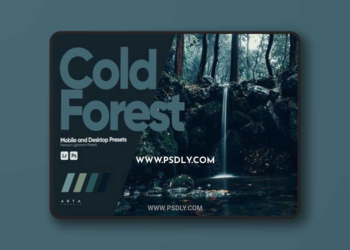 ARTA - Cold Forest Presets for Lightroom SQ4YRGA