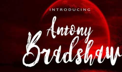 Antony Bradshaw Script