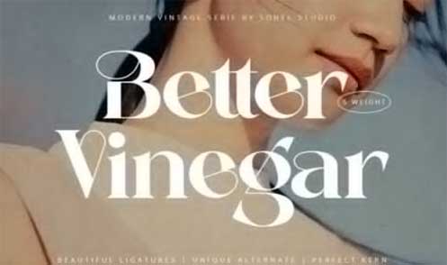 Better Vinegar Font