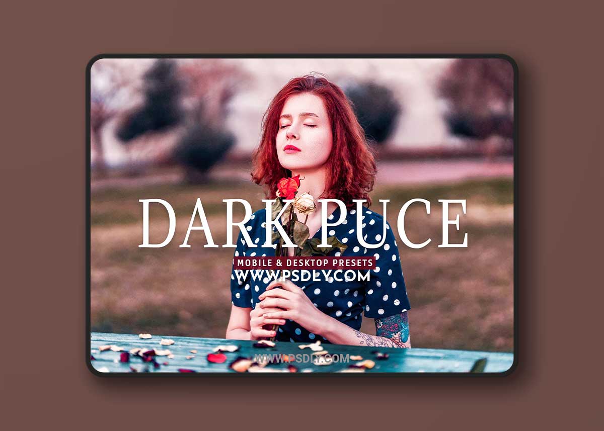 CreativeMarket - Dark Puce Pro Lightroom Presets 7375238