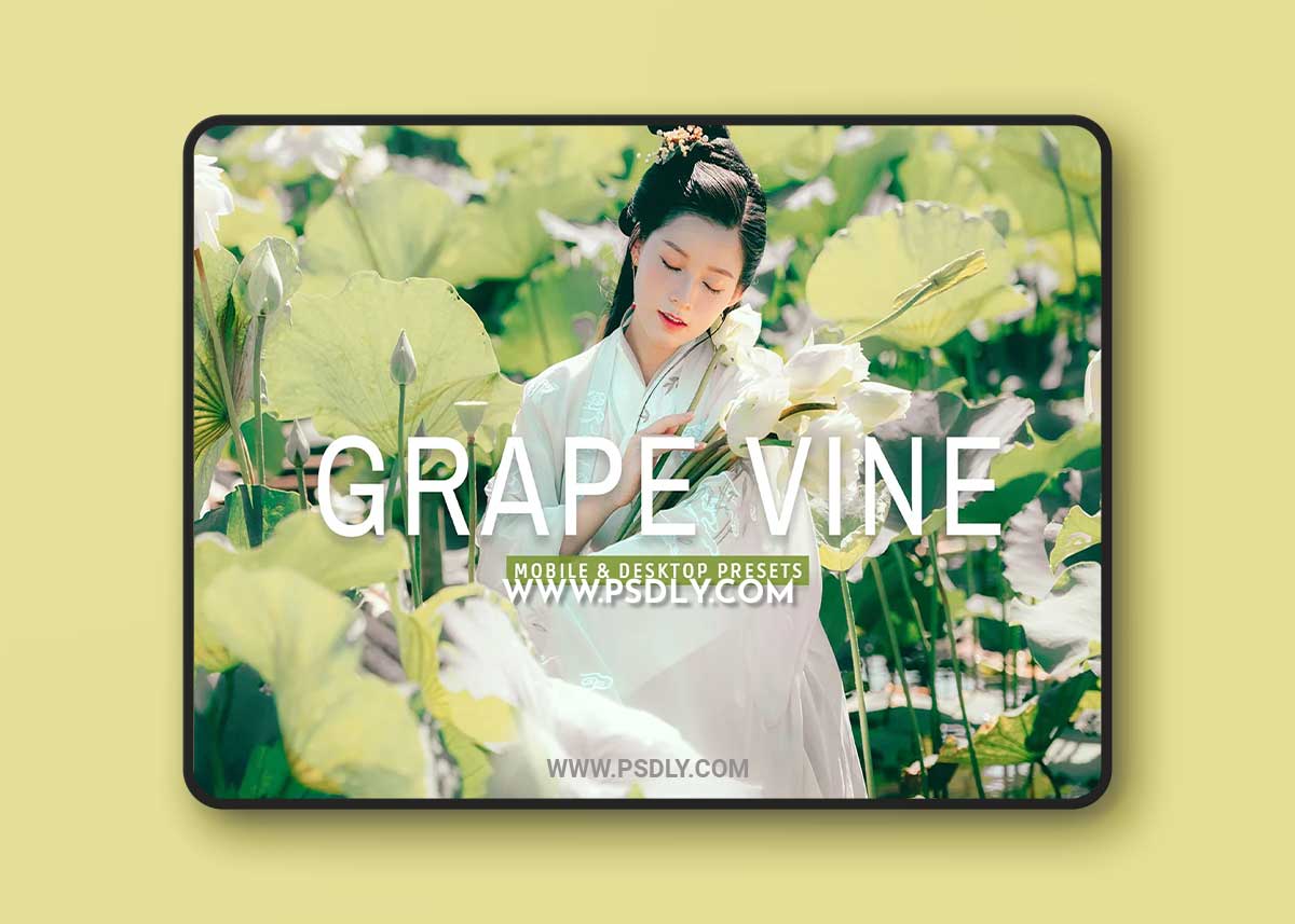 CreativeMarket - Grape Vine Pro Lightroom Presets 7389010