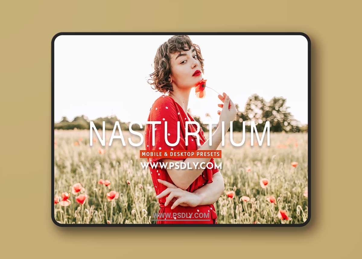 CreativeMarket - Nasturtium Pro Lightroom Presets 7382466
