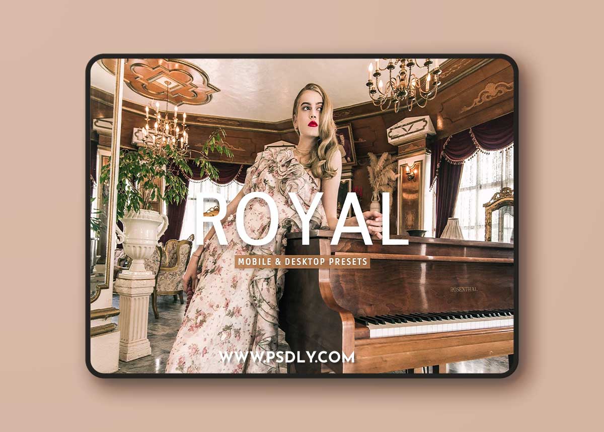 CreativeMarket - Royal Pro Lightroom Presets 7387220