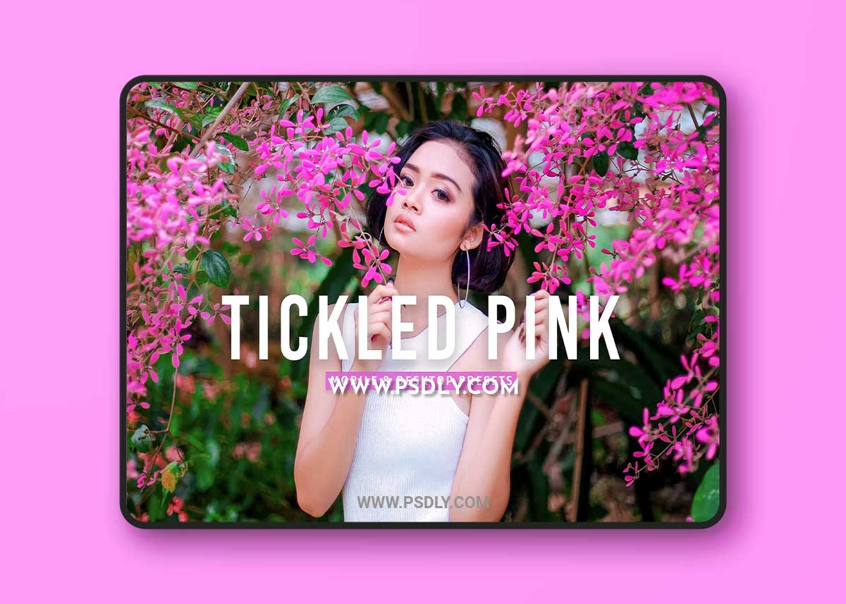 CreativeMarket - Tickled Pink Pro Lightroom Presets 7387232