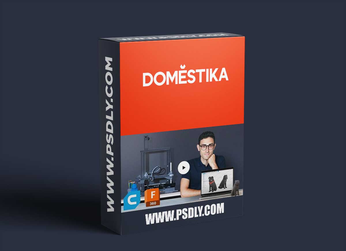 Domestika - Introduction to 3D Design and Printing