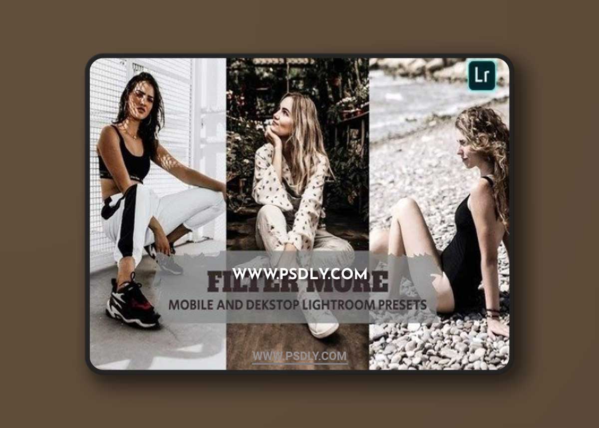 Filter More Lightroom Presets Dekstop and Mobile