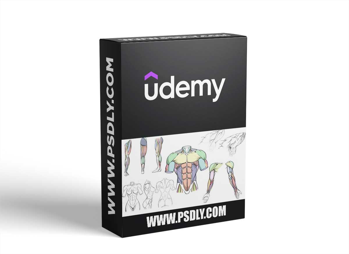 How To Draw Dynamic Anatomy - Step By Step