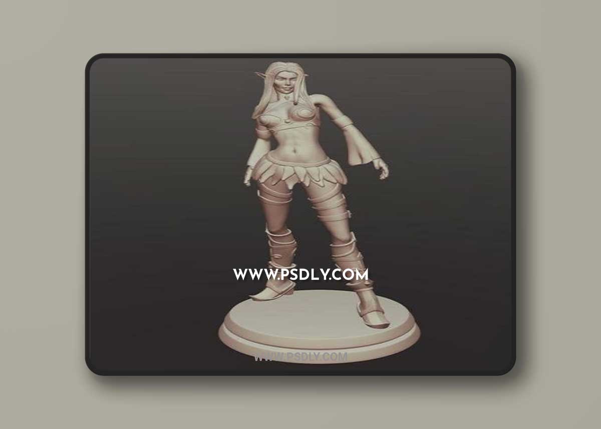 Night Elf and Elf Priest 3D Model