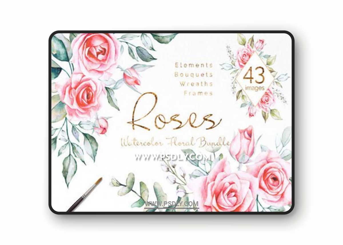 Pink Roses Watercolor Floral Bundle