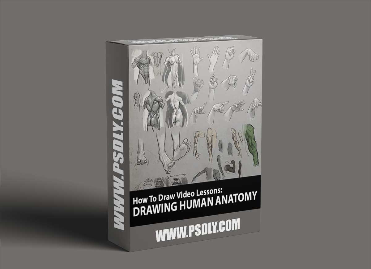 How to Draw: Drawing Human Anatomy by Aaron Blaise