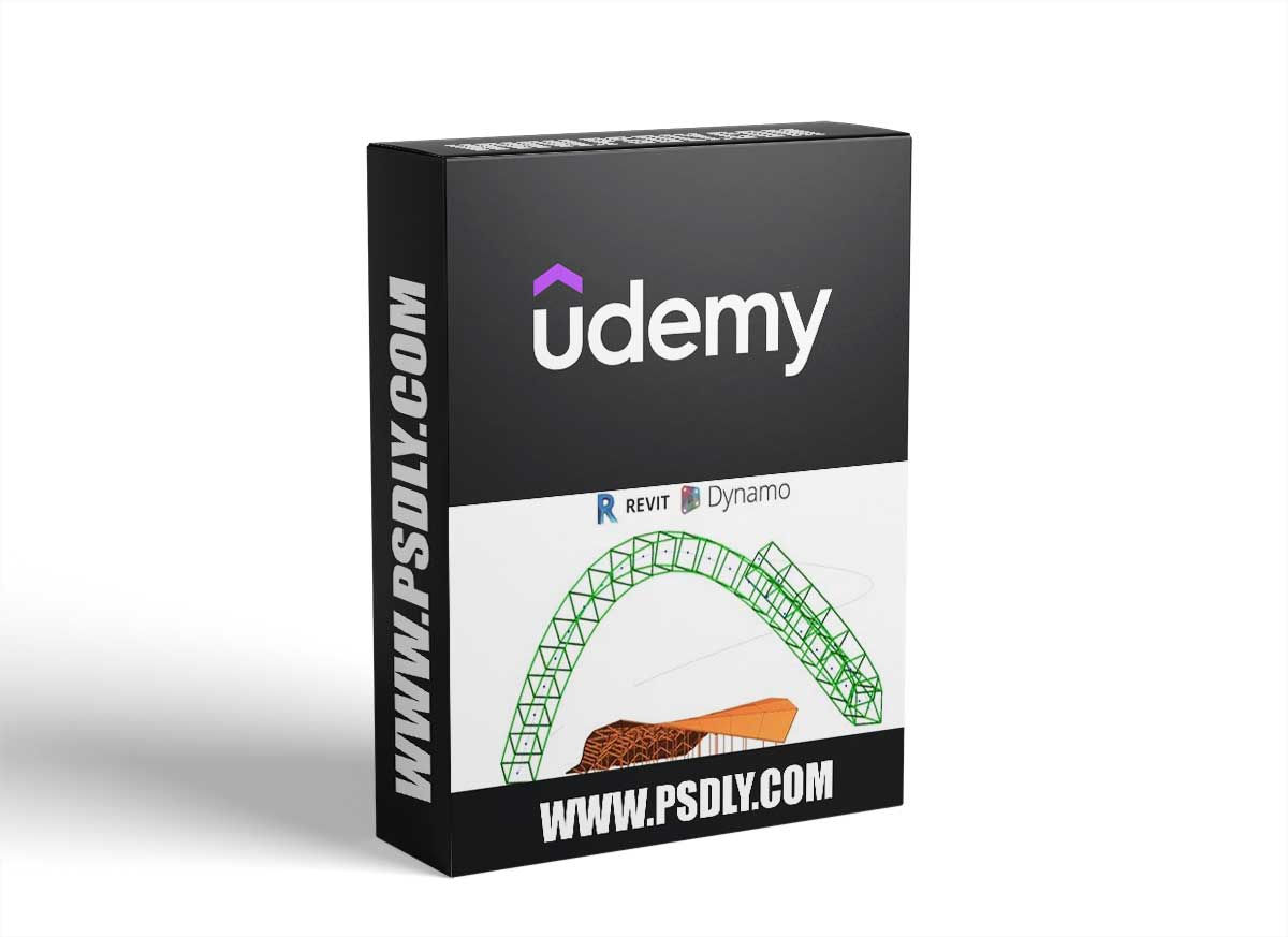 Revit 2020 Modeling Structure Module Config and Custom Nodes