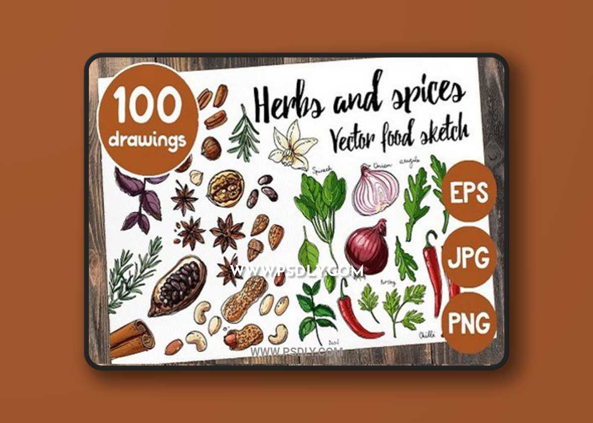 Sketches herbs and spices