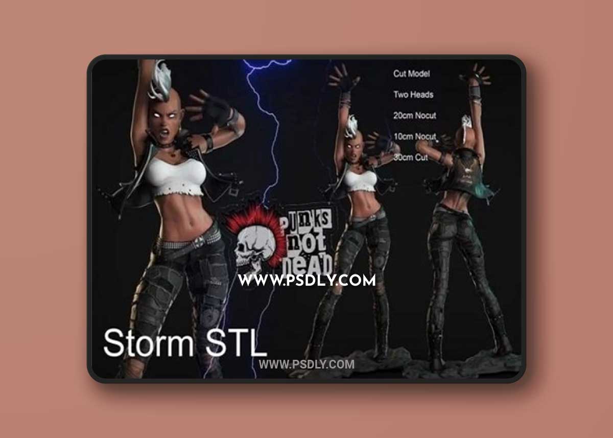 Storm Iroquoise Punk – 3D Print Model 3D Model