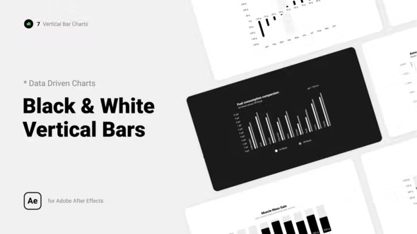 Videohive Black & White Vertical Bar Charts 39438919