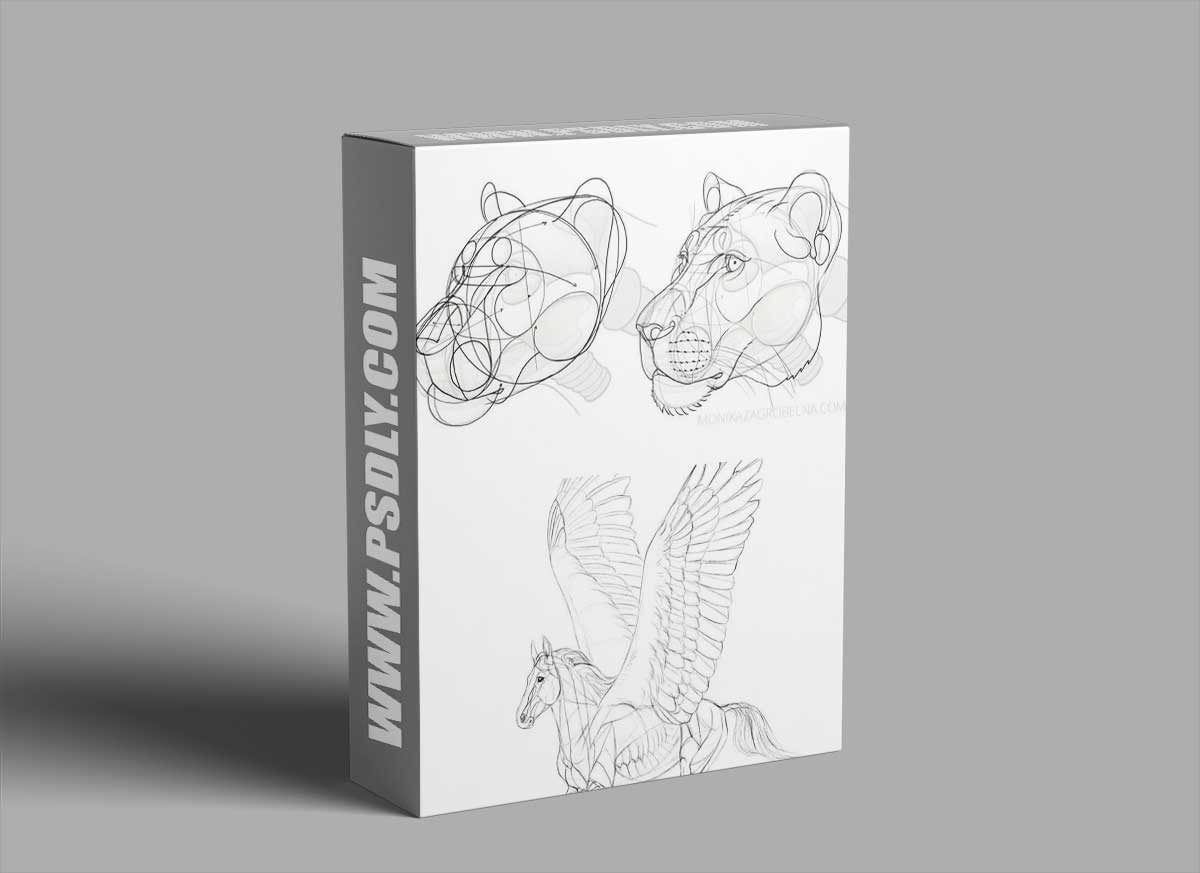 Class101 - Monika - Learn Animal Anatomy to Draw Realistic Animals from Imagination