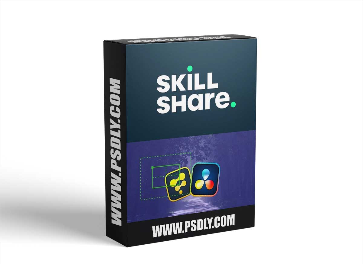 Davinci Resolve Fusion : Tracking