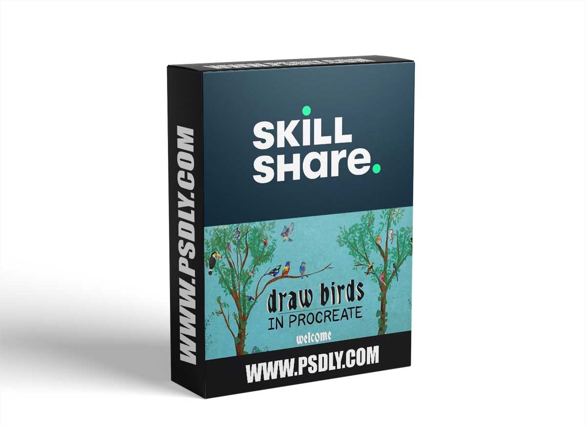 Draw Birds in Procreate