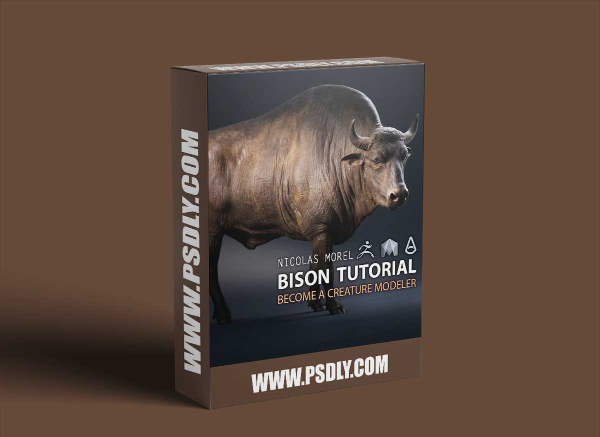 Gumroad – Nicholas Morel – Bison Tutorial