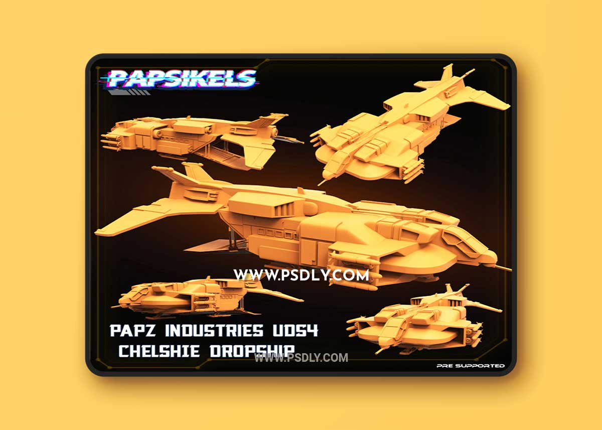 PAPZ Industries UDS4 Chelshie Dropship 3D Print