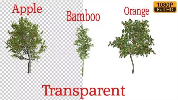 Videohive 3 Types Tree Animation Pack 24132907