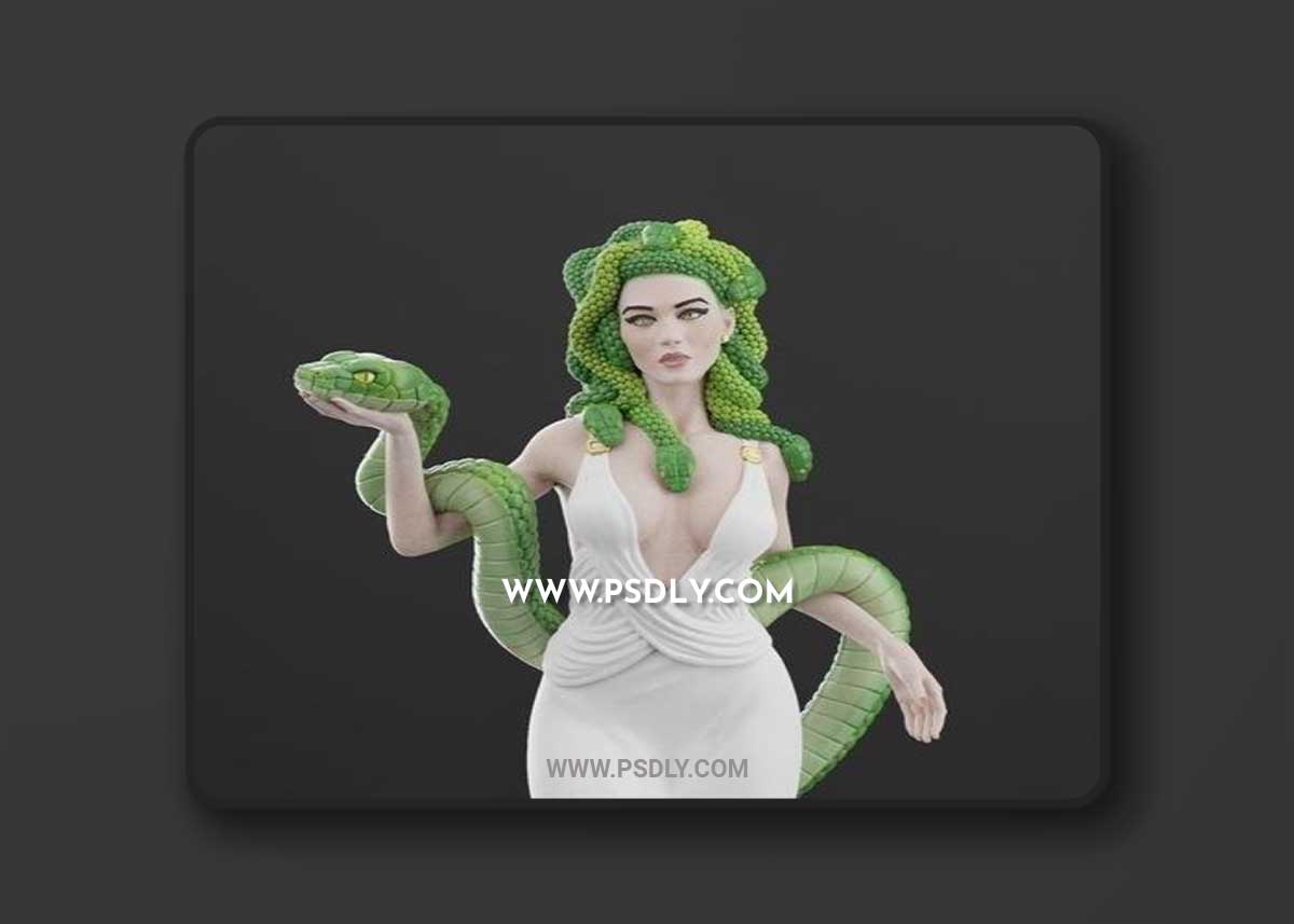 3D Stl studio - Medusa 3D Print