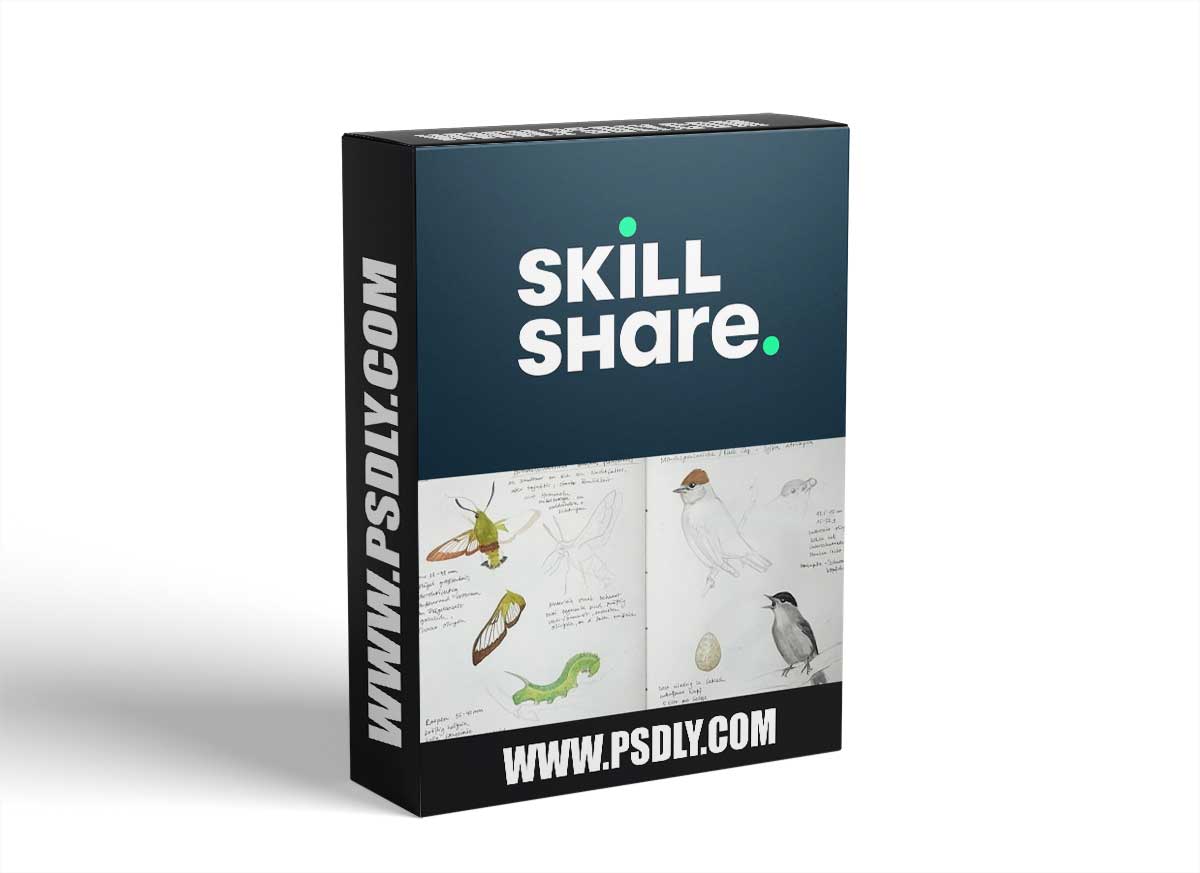 Sketching: Learn Basic Nature Drawing Techniques