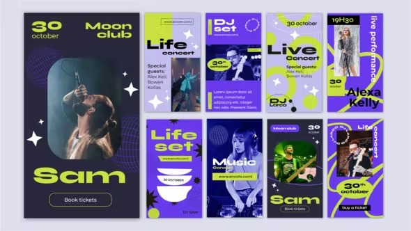 Videohive Live Music Festival Concert Instagram Stories 40315037