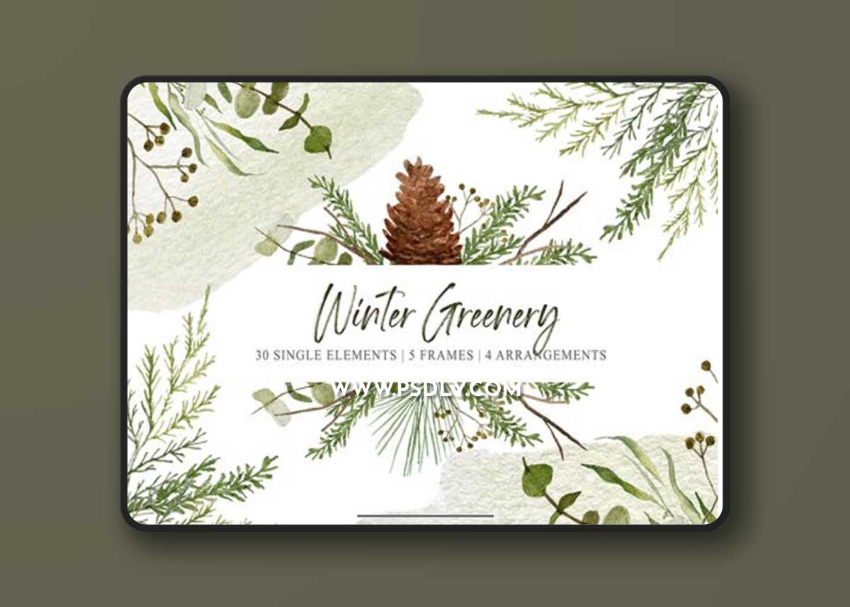 Watercolor Winter Greenery PNG Cliparts Pack