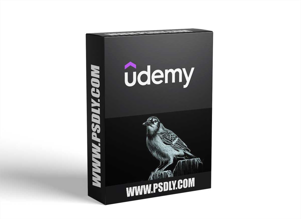 Drawing Fundamentals: Shading Basics For Illustration