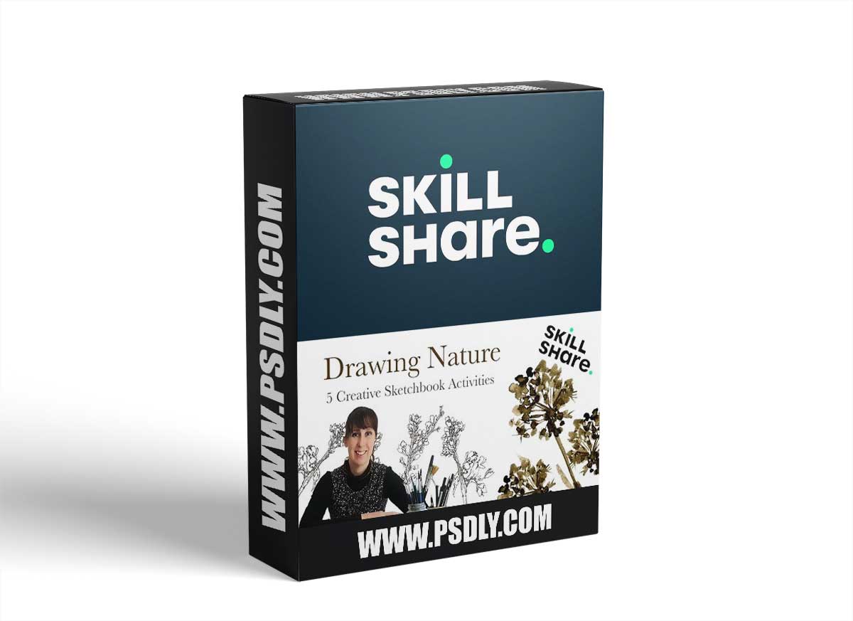 Drawing Nature - Five Creative Sketchbook Activities