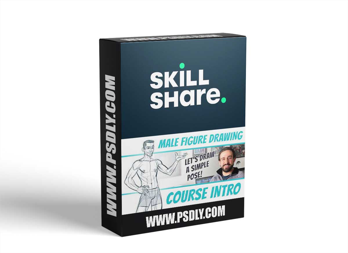 Figure Drawing Basics - The Male Figure