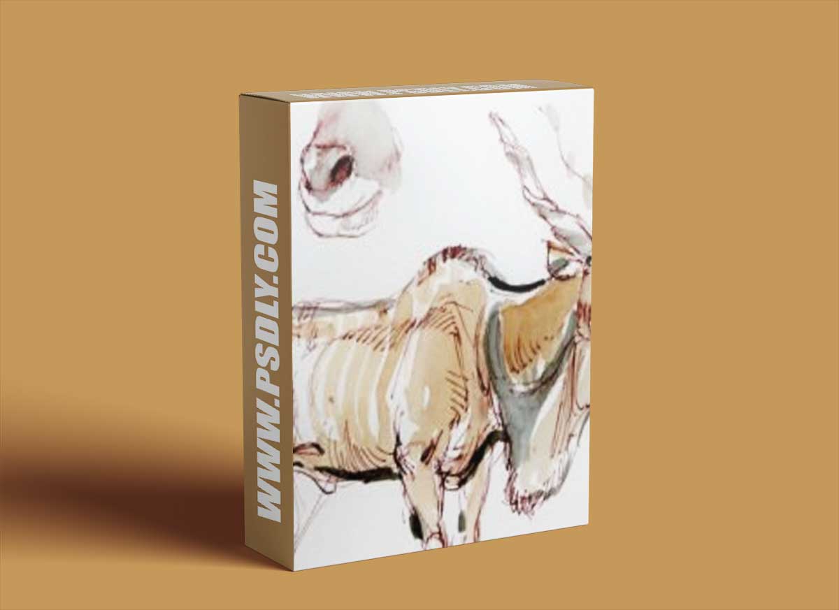 Friday Draw Along Live Class – April 2022 with Glenn Vilppu