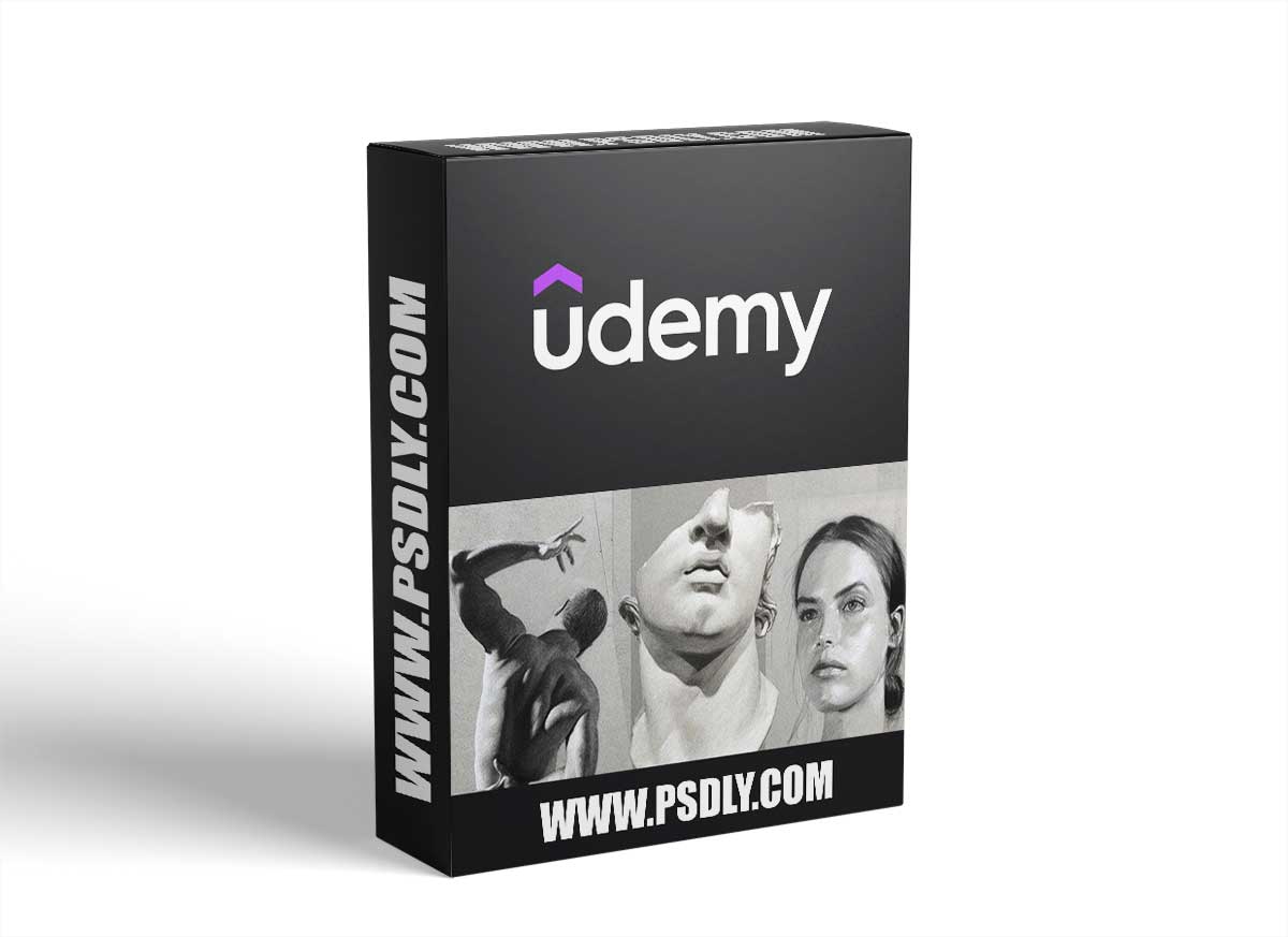 How to Draw from Beginner to Master: Charcoal & Graphite