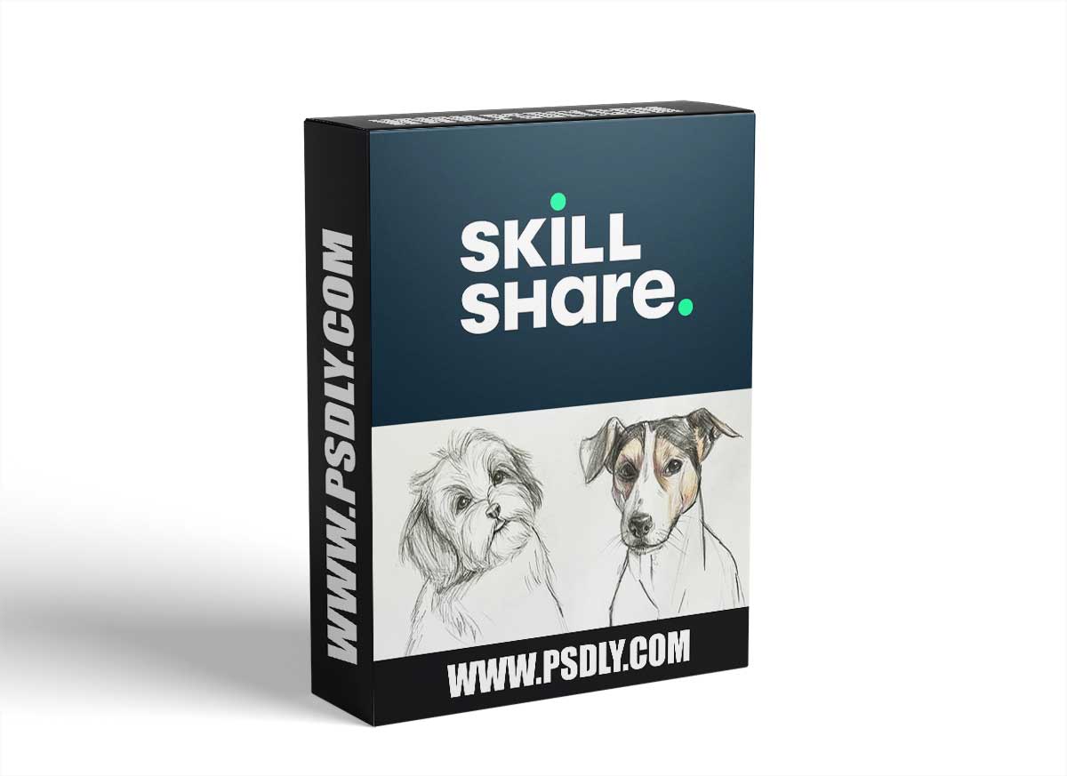 The Ultimate guide to drawing Dogs